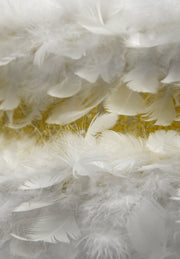 FASCINATING FEATHERS