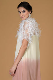 ASIAN PARADISE FEATHER DRESS