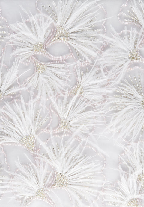 IVORY MODESTA