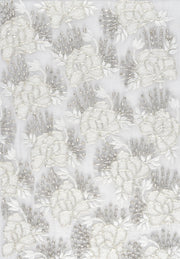 WHITE AVENS